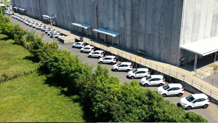 Algeria used car